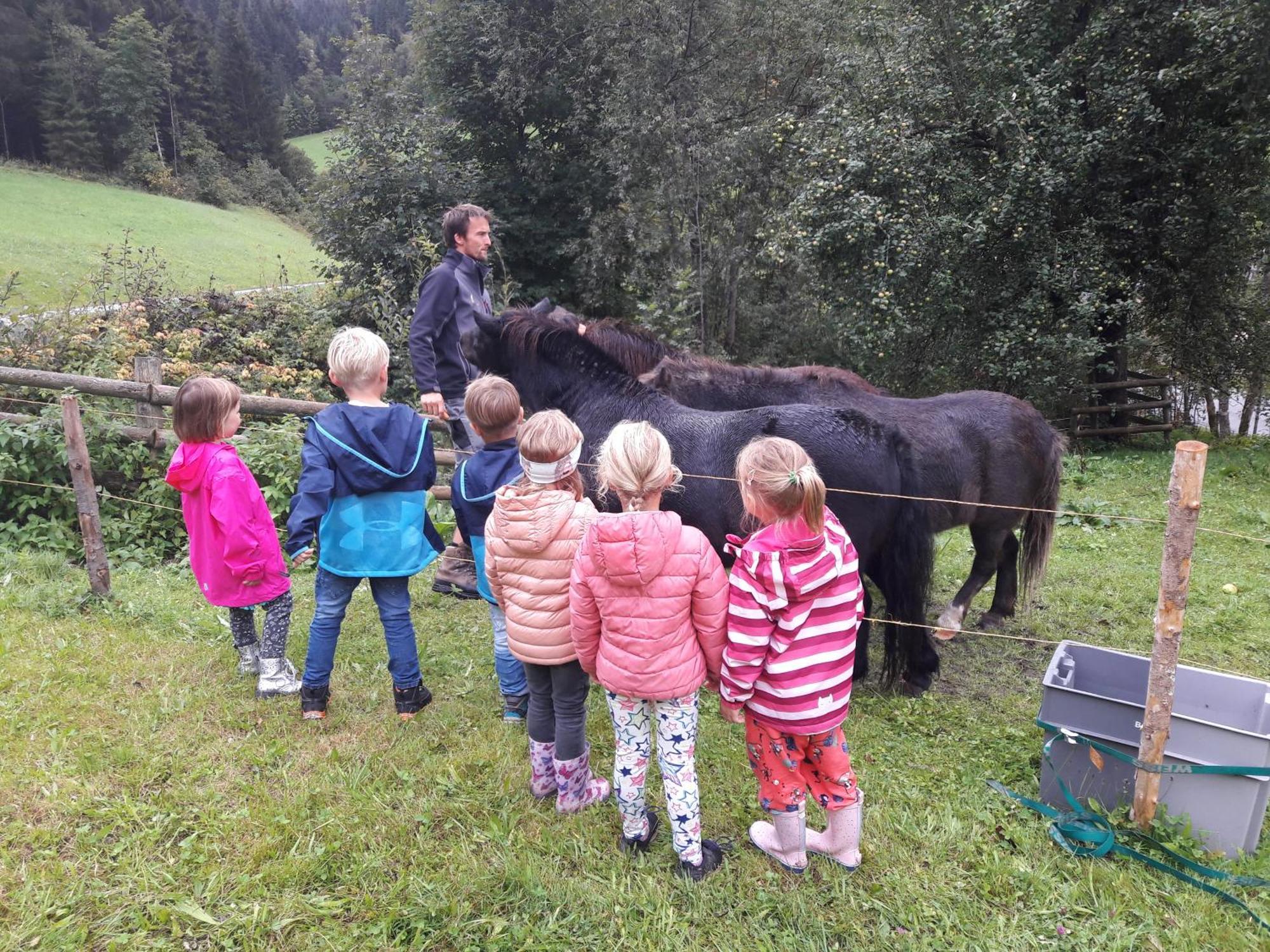 Rabengut Flachau
