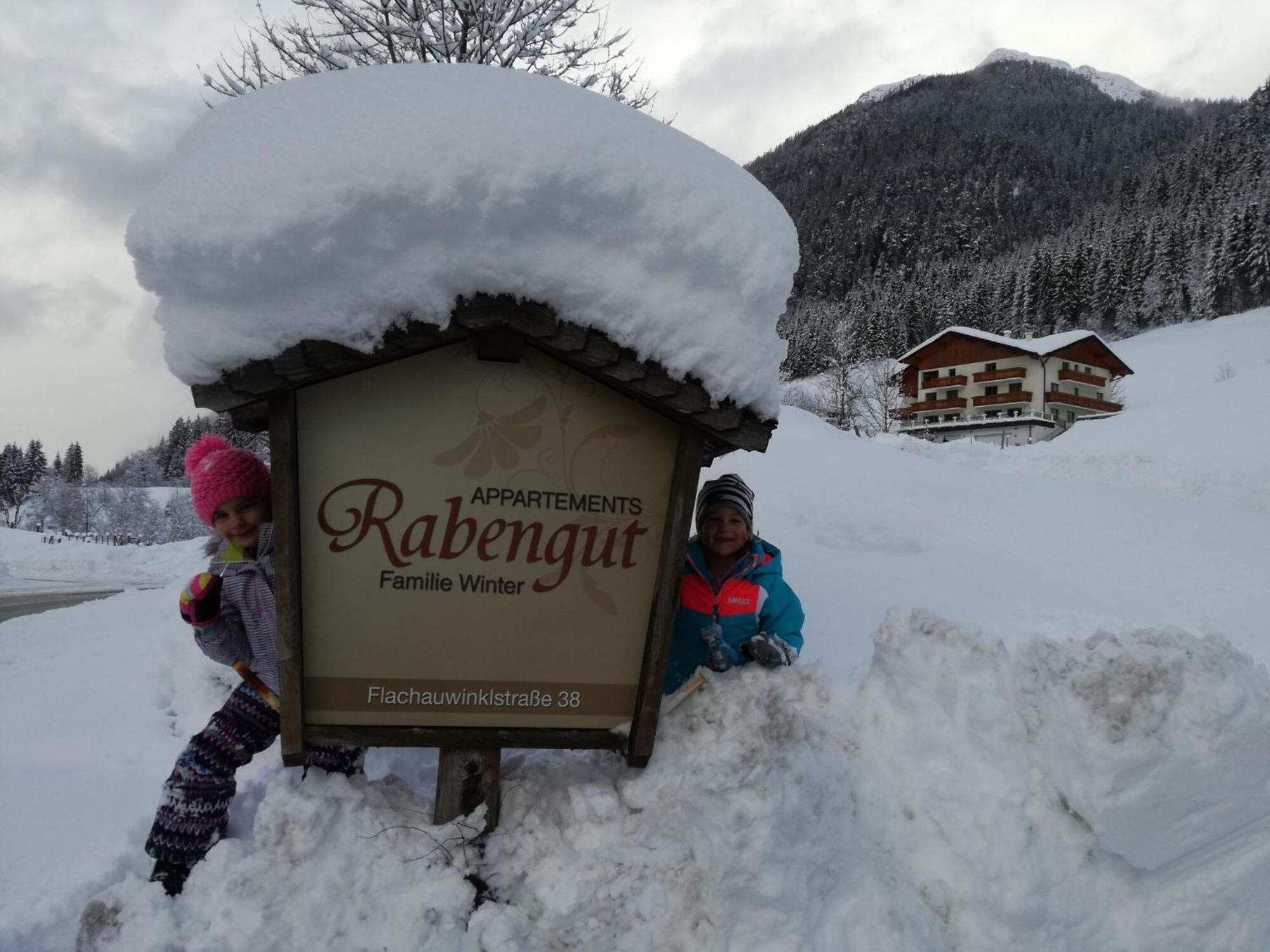 Rabengut